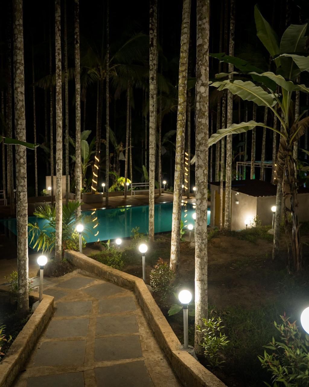 Dandeli Jungle Resort